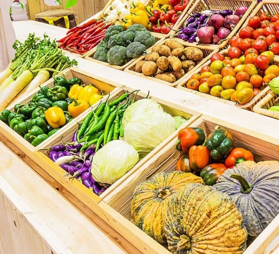 Countries need finance to continue food systems transformations