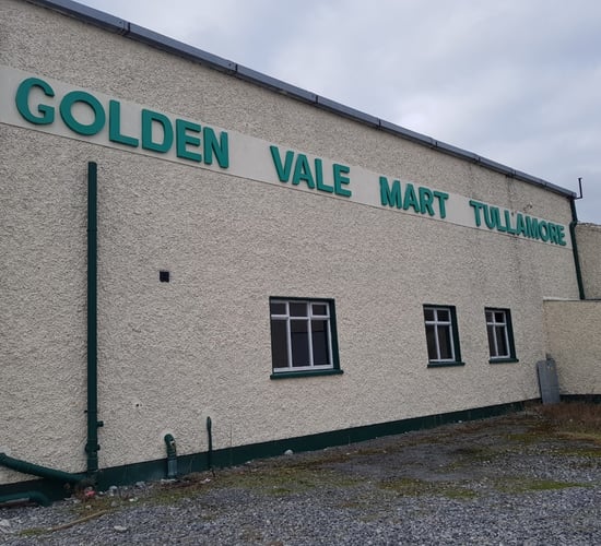 'If we had a couple of hundred more lambs they would have sold no problem'