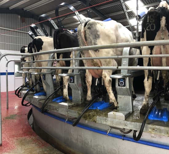 Glanbia announces details on new Fixed Milk Price Support Scheme