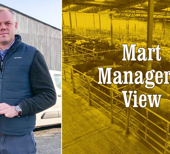 'The trade for butcher lambs was on fire' - Athenry's Brian Hogan