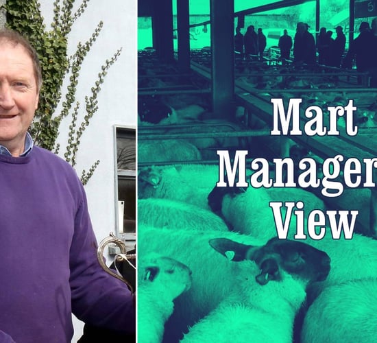 'I think the sheep trade has peaked' - Jimmy Cooney