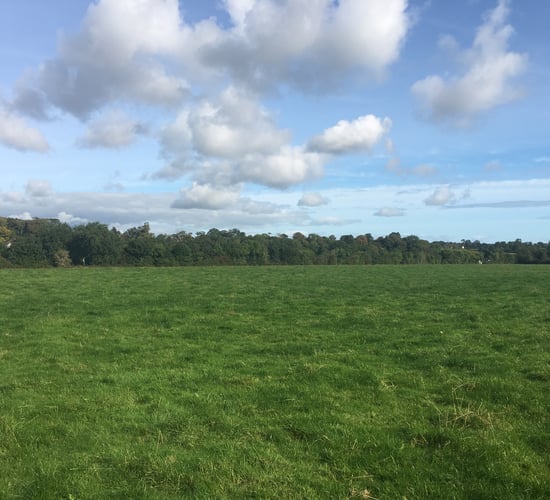 Bellewstown land parcels hit the market