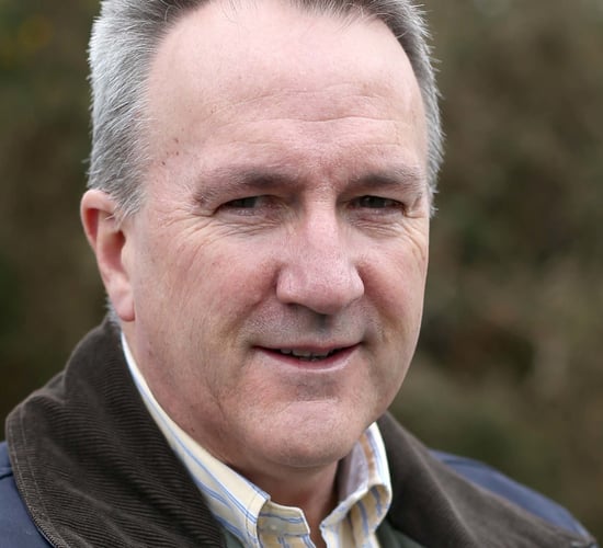 Kelly re-elected as Ulster Wool board member