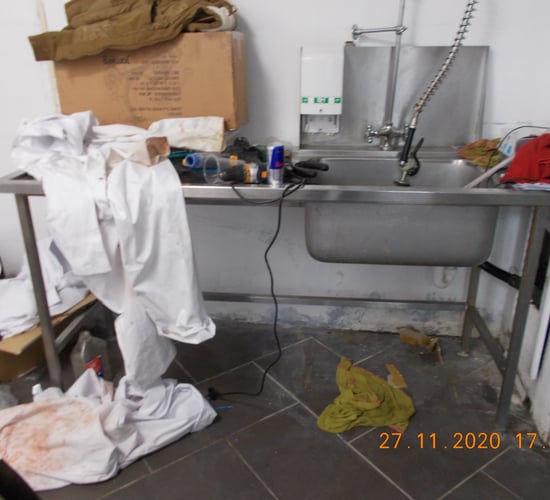 2t of fresh meat found to be cut and packed from car wash workshop