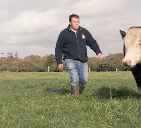 Irish Hereford Prime Farmer of the Year 2020 revealed