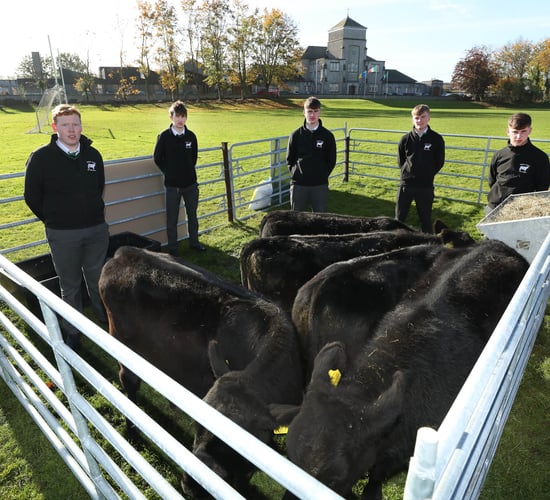 Number of applications for Angus Schools Competition in 2020 sees biggest increase yet