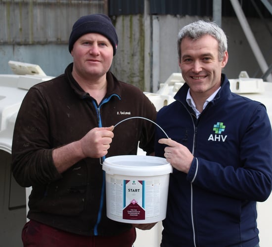 AHV’s biotechnical innovation a success on Co. Kerry calves