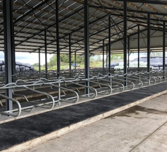 Back In Focus: ‘Biting the bullet’ by building a 150-cubicle shed in Co. Offaly