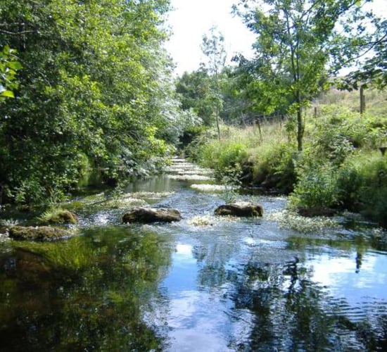 River trust offers 75% grant to farmers in Ballinderry catchment