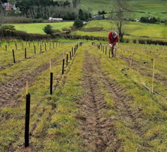 Deadline approaches for NI's £2 million Environmental Fund