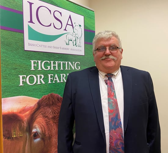 We must fund active suckler, beef and sheep farmers - ICSA