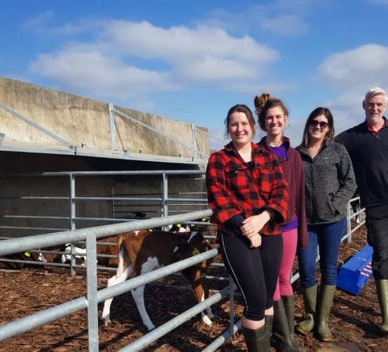 Calf housing throwback: Converting a silage slab into calf housing facilities in Meath