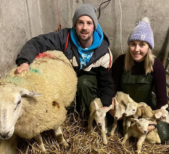 'We can't go on nights out so at least we can lamb sheep' - quintuplets on Donegal farm