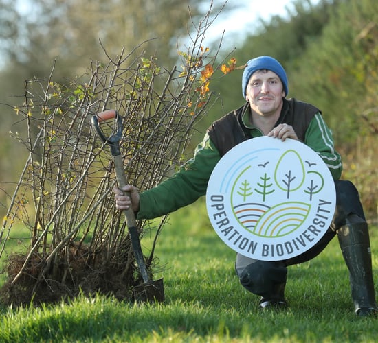 Glanbia launches initiative to increase the planting of trees and hedgerows
