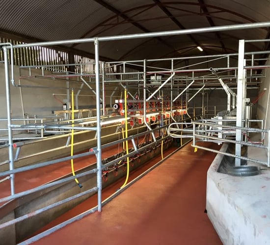 Co. Kildare farmer's 6 years in dairy: The journey so far...