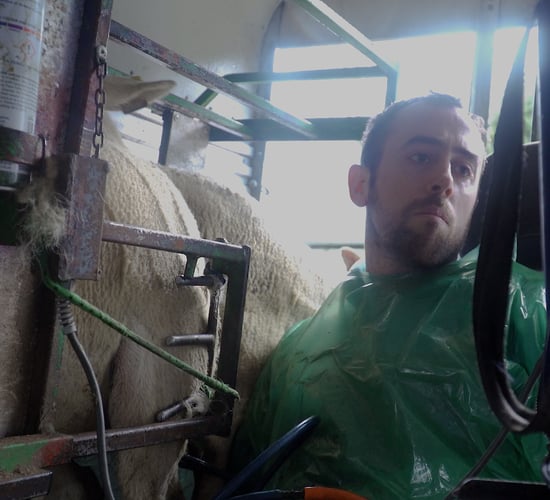 'More farmers are lambing early this year than in previous years' - Kieran McGee