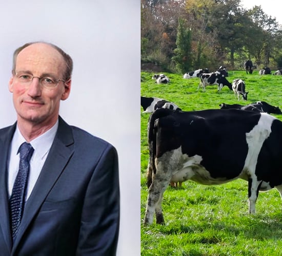 'I'd almost say that Covid-19 had a positive effect on the milk market'