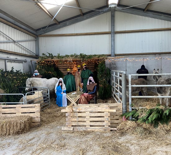 Students organise live crib for charity on Clare farm