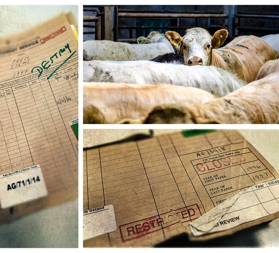 Declassified files: 'Fish was on the plate, but beef (and BSE) were on the menu'