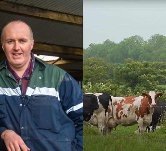 '2020 was a reasonable year for dairy farmers'