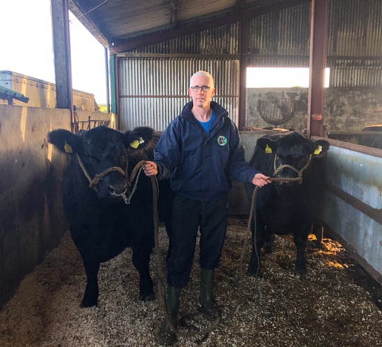 Beef Focus: 'The bull was good enough to sell in Scotland, so that's exactly what we did'