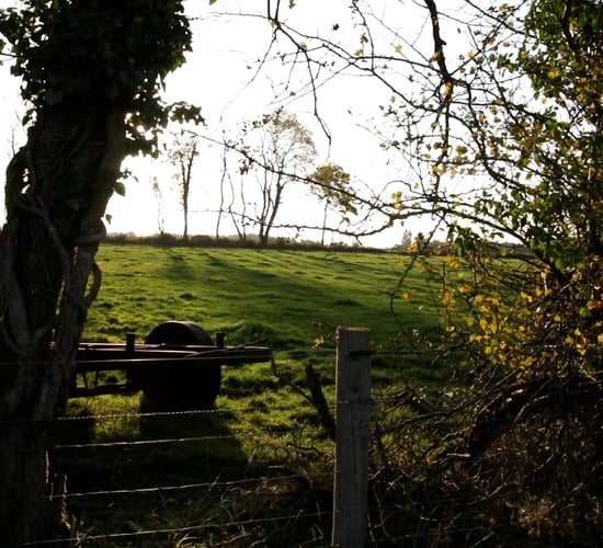 EU certification framework for carbon farming gets green light