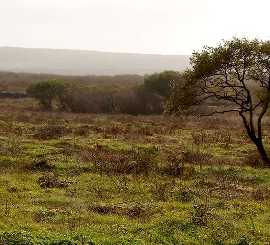 Organisations invited to enter Natura 2000 Award