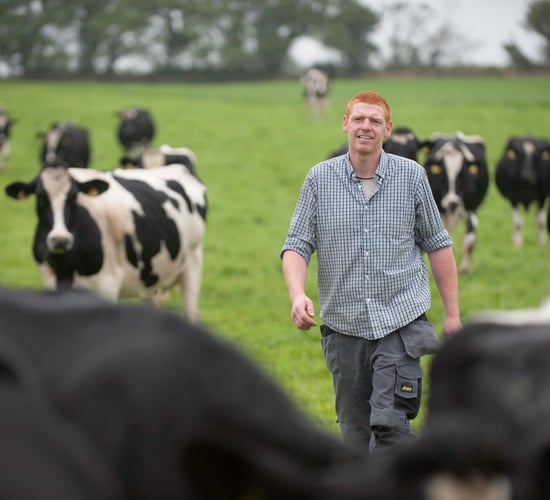 Hurley takes top prize at Carbery Milk Quality and Sustainability Awards