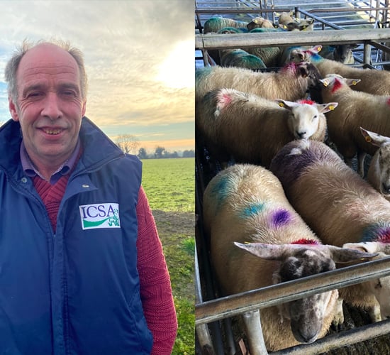 'It's been a good year for sheep farmers but not for all of them'