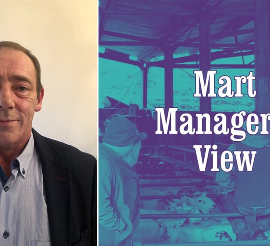 'Online buyers were very active for stores and really drove the trade on'