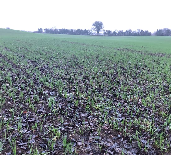 €8m support fund for tillage is a 'drop in the ocean'