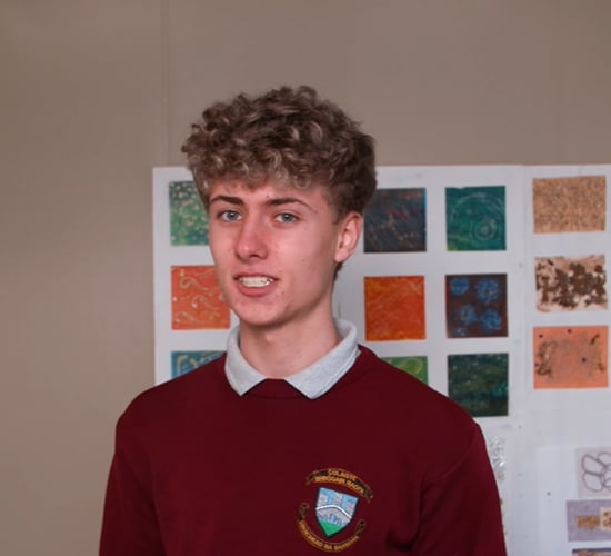 'Hemp for a sustainable future' – Teagasc award at BT Young Scientist Exhibition announced