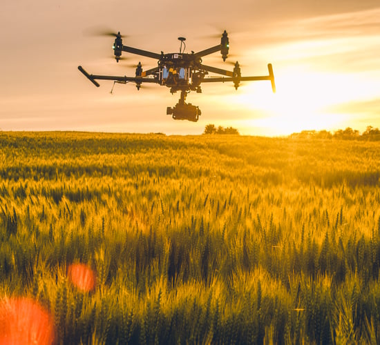Role of digital in securing green rural economy to go under spotlight