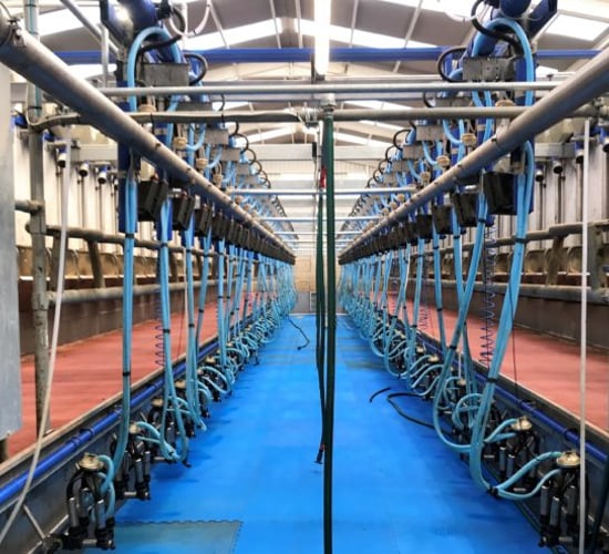 Retailers criticised for milk marketing strategies