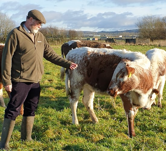 Lough Neagh farmers benefit from £4 million support for agri-environmental projects