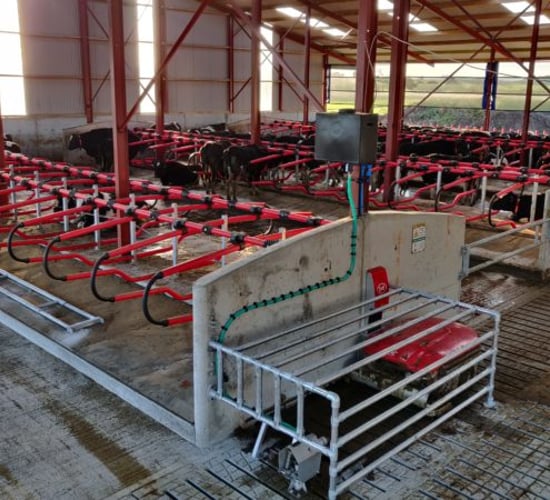 Back In Focus: Milking 69 cows in a brand new robotic-milking system in Co. Laois