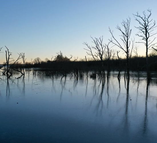 MEP claims Lough Funshinagh can be de-designated as SAC