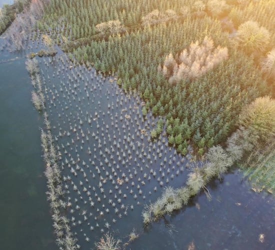 Tanáiste accused of being 'indifferent' to Lough Funshinagh crisis
