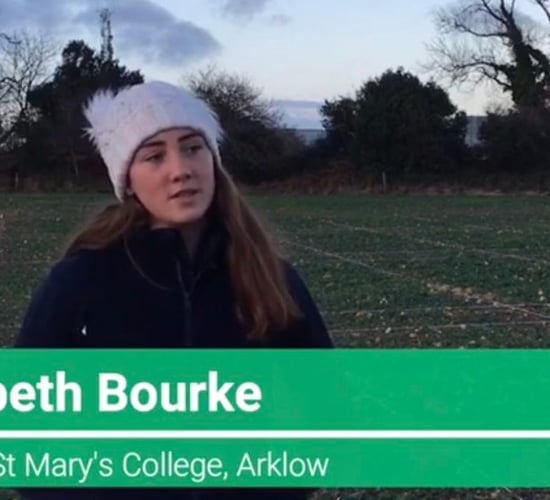 'Wonderful to see young people in STEM' - Hackett congratulates young scientist