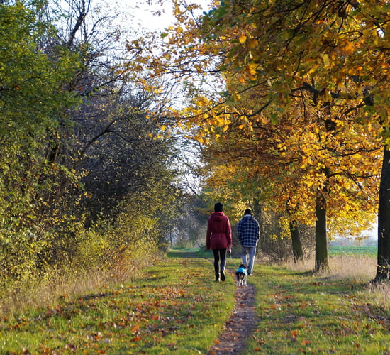 Humphreys announces addition of 31 trails to Walks Scheme