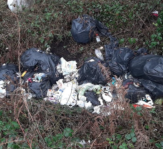 'The whole legislation around illegal dumping is way too soft'