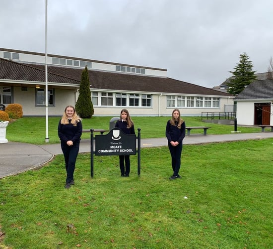Westmeath TY students find new use for sheep wool