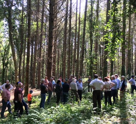Forest owner groups join forces to form national body