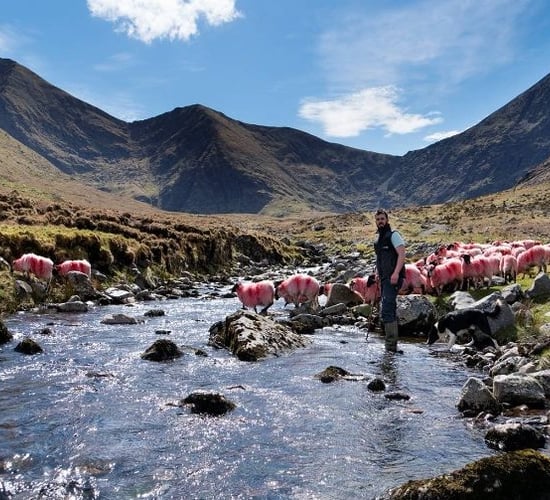 'There will be very few hill farmers in years to come'