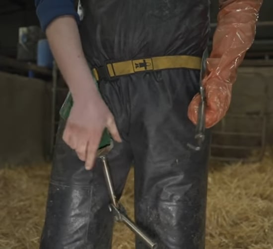 Calving Assist: From YouTube to production...in 4 days