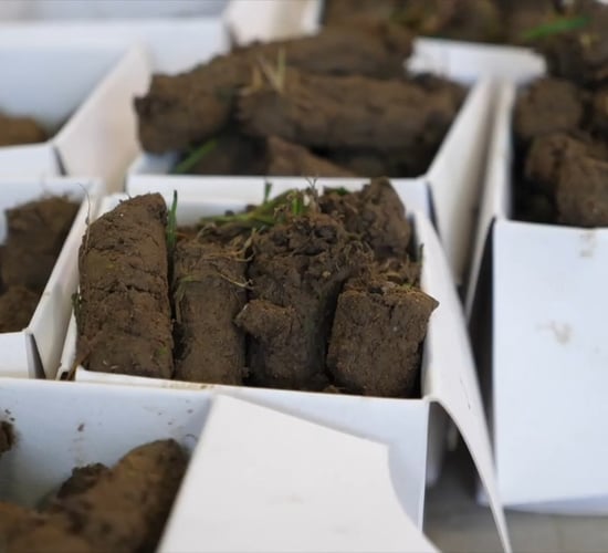 Dairy advice: Now is the best time to go soil sampling
