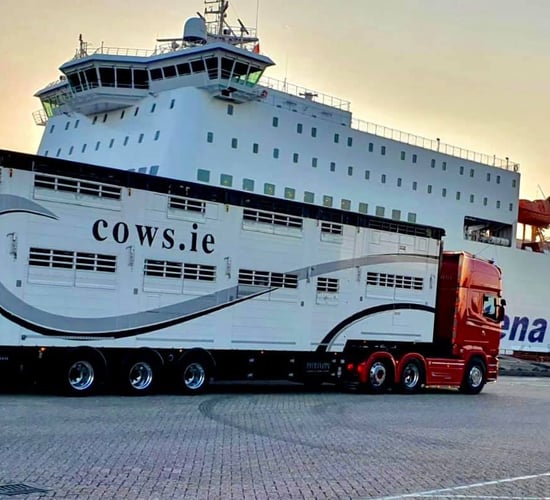 Cattle exporter highlights challenges facing hauliers to a post-Brexit UK