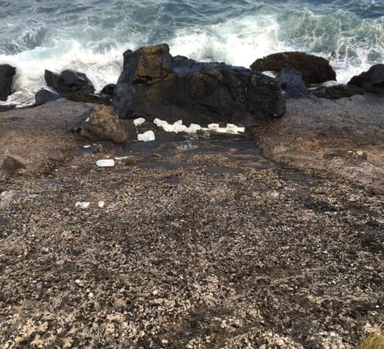 Reward for information about culprits who dumped milk on Antrim coast