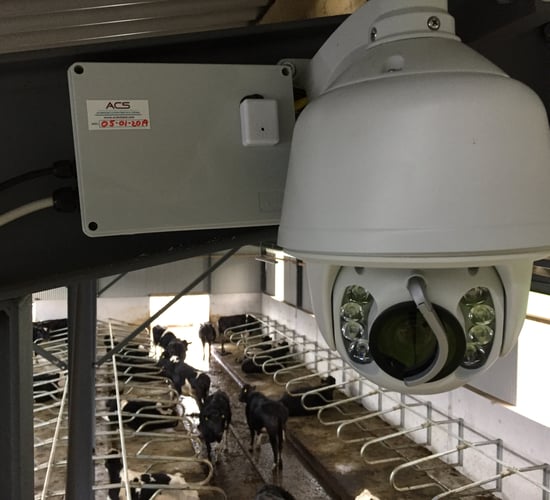 Future-proofing your farmyard: Installing calving cameras for the long haul