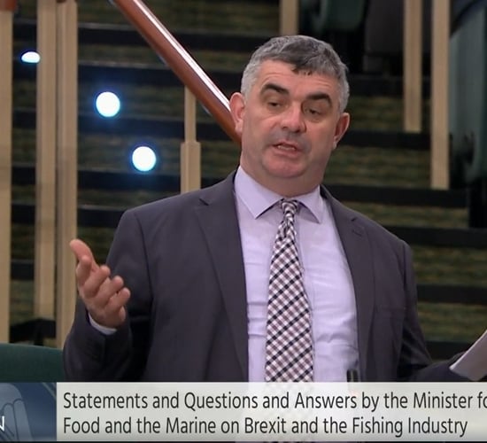 Government must intervene to end 'cartel-like system' in beef - O'Donoghue
